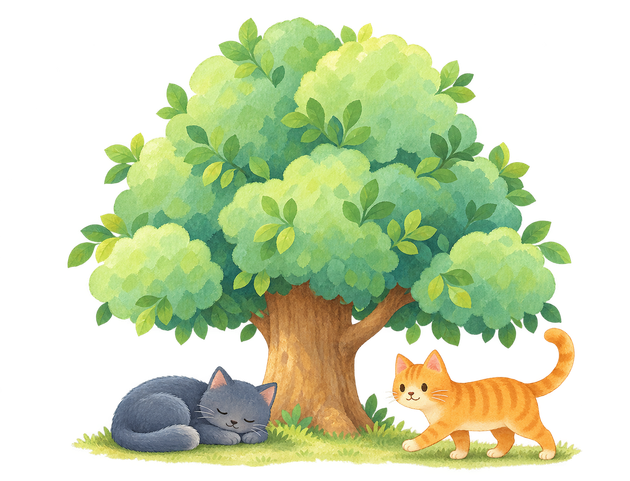 树荫下休息的两只猫